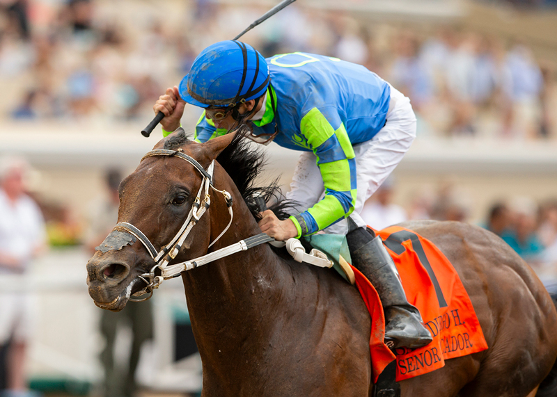 Senor Buscador | Benoit Photo