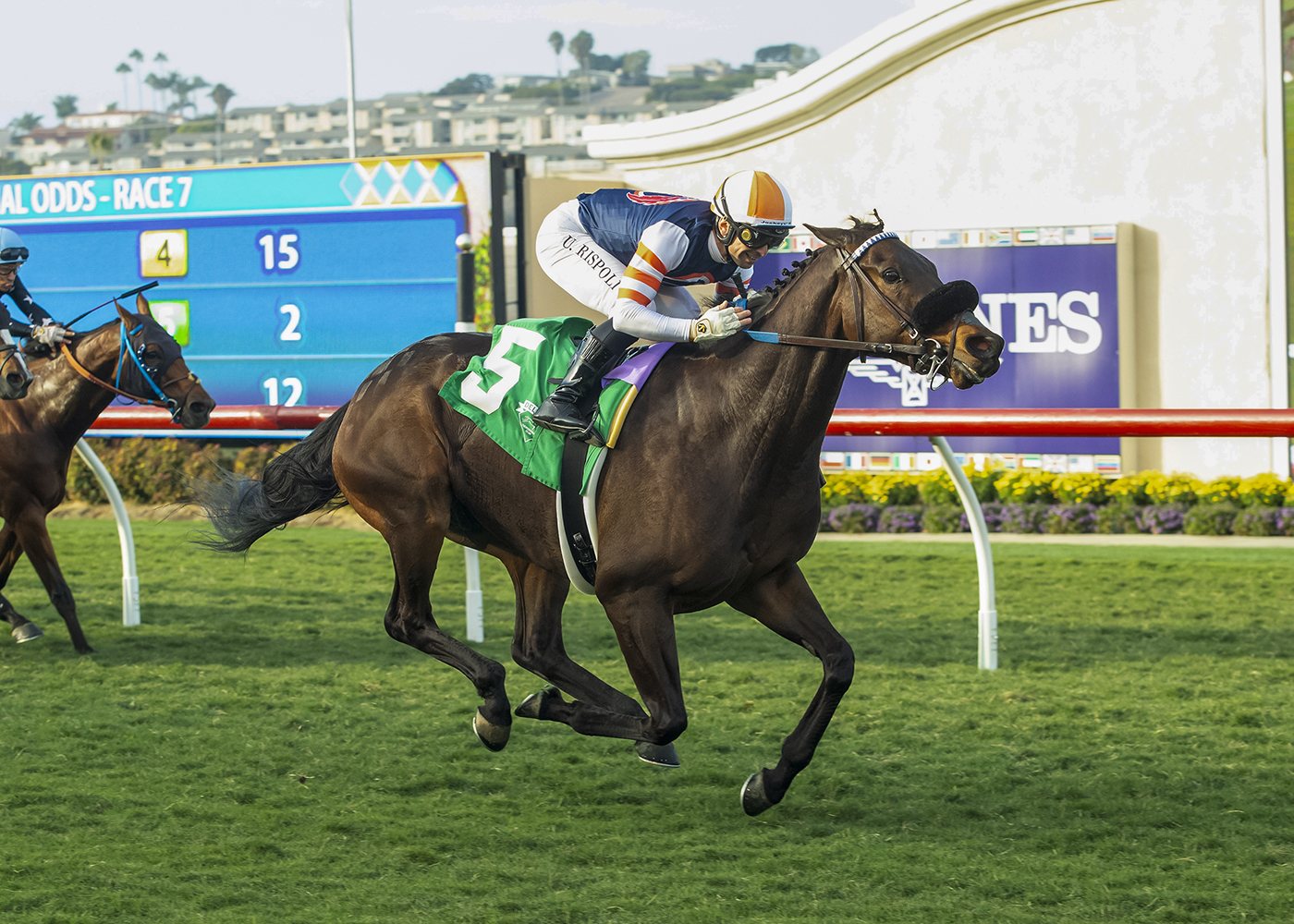 Balnikhov | Benoit Photo