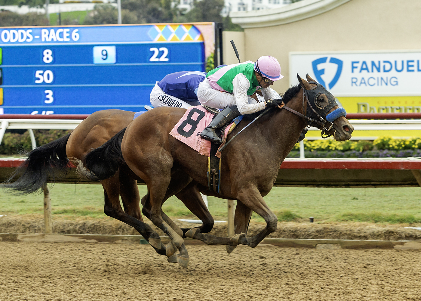 Consequent | Benoit Photo