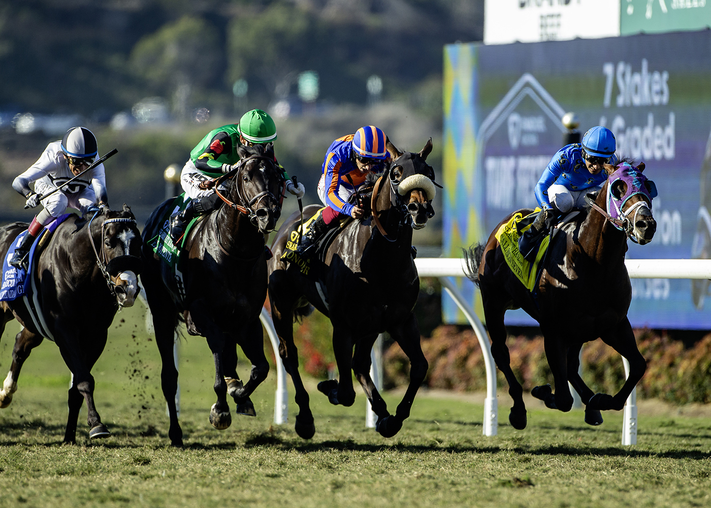 Call Sign Seven | Benoit Photo