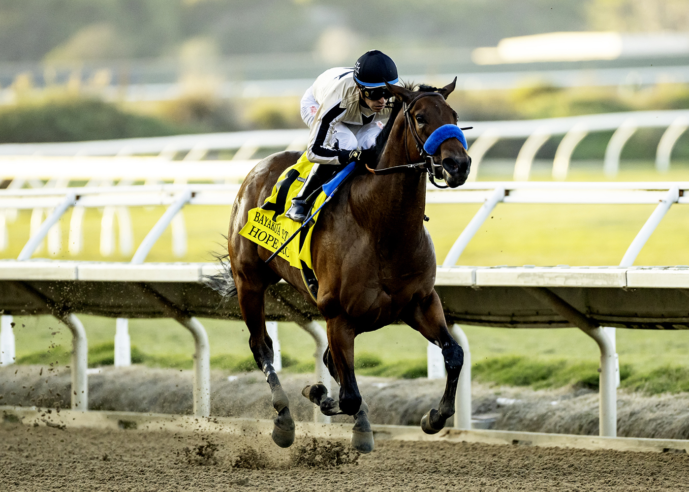 Hope Road | Benoit Photo