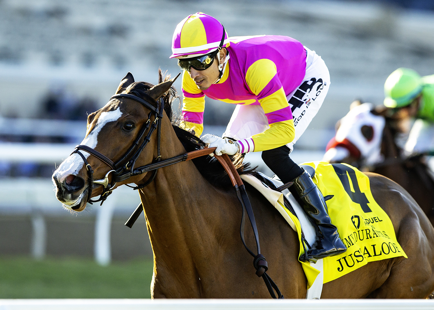 Just Aloof | Benoit Photo