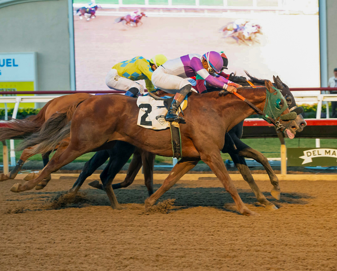 Low Expectations | Benoit Photo