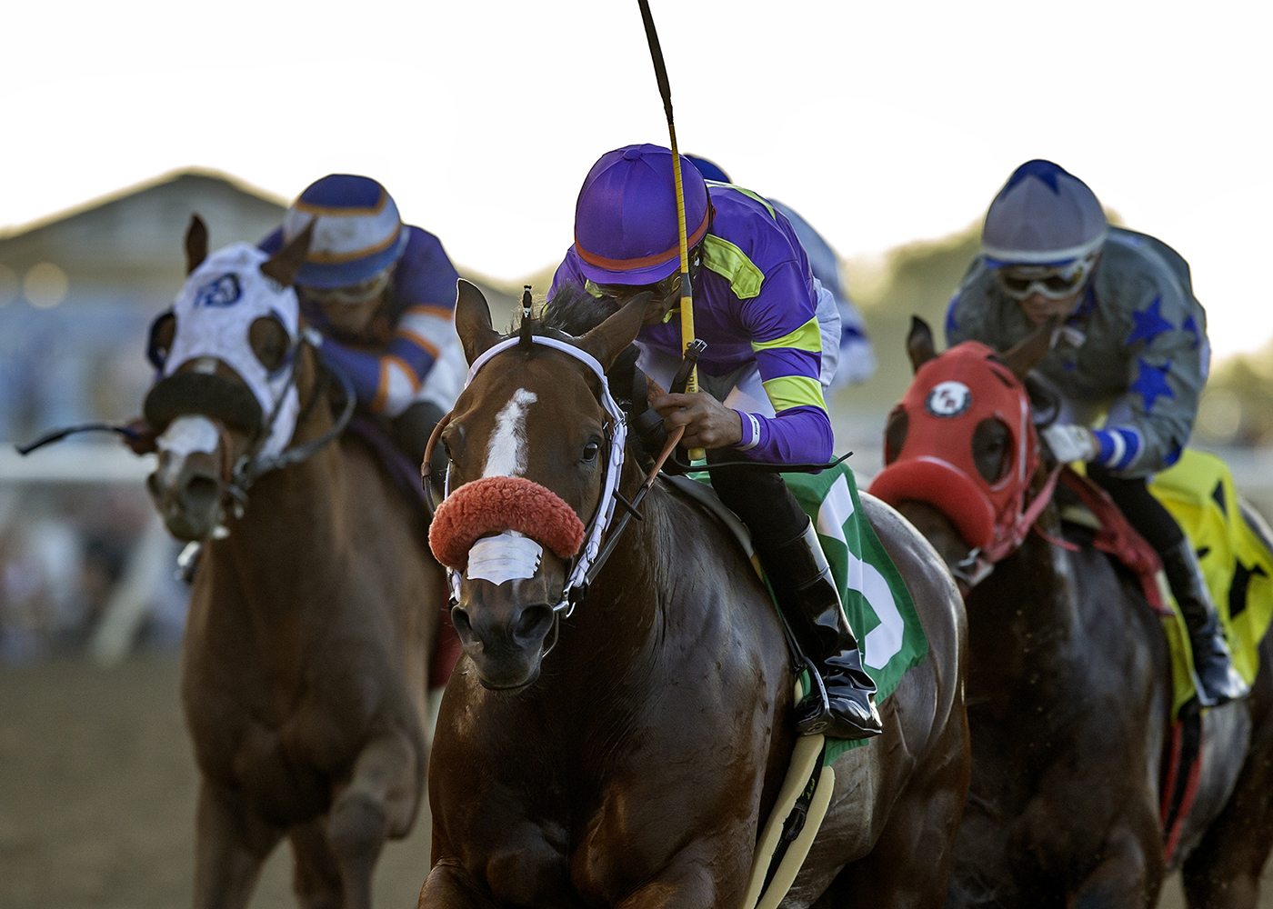 Man O Rose | Benoit Photo