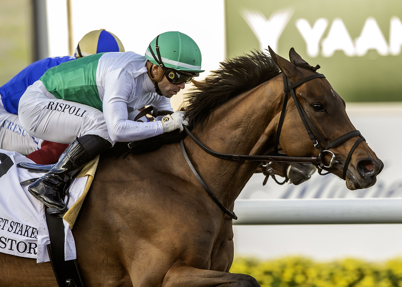 Mrs. Astor | Benoit Photo