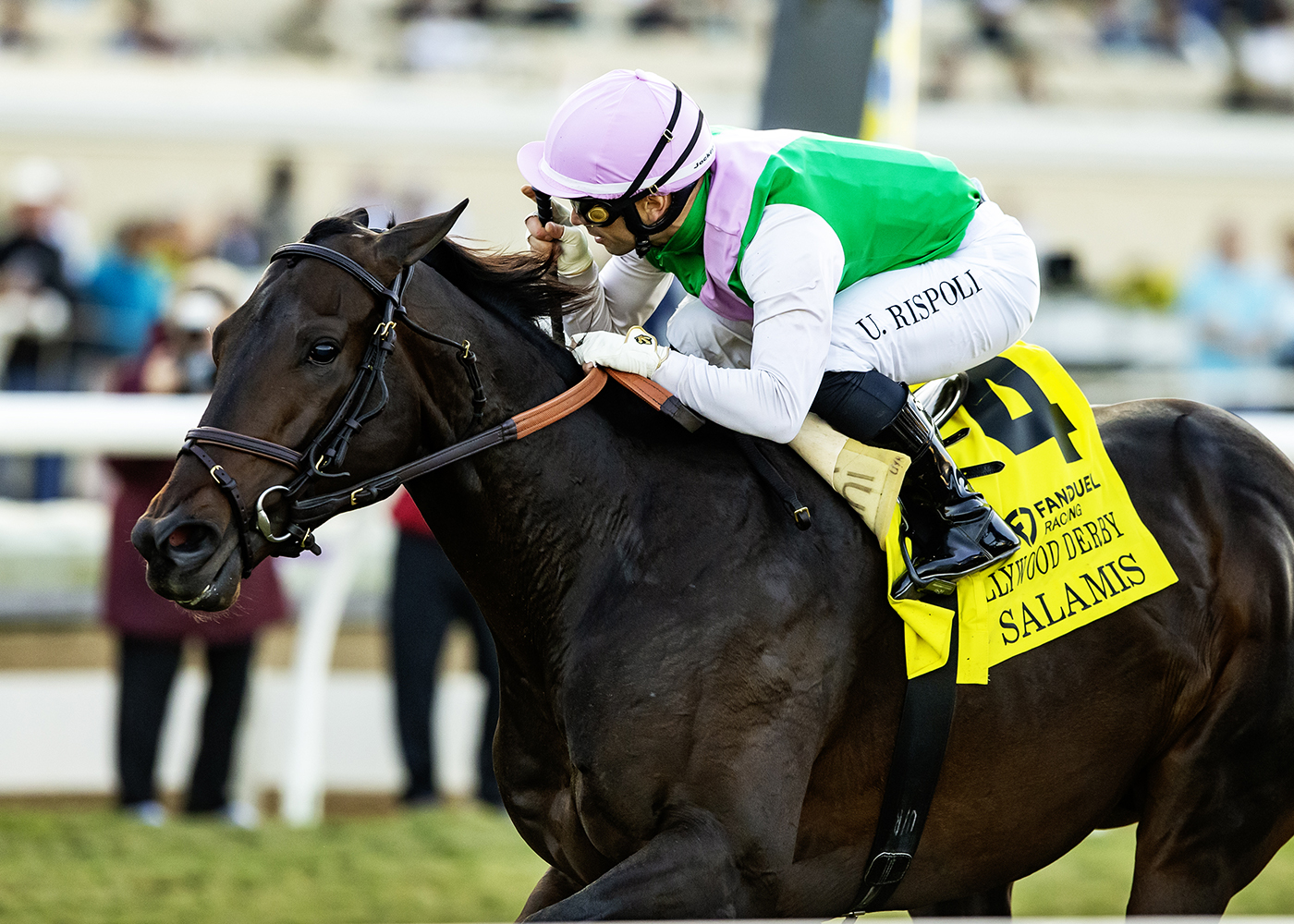 Salamis | Benoit Photo