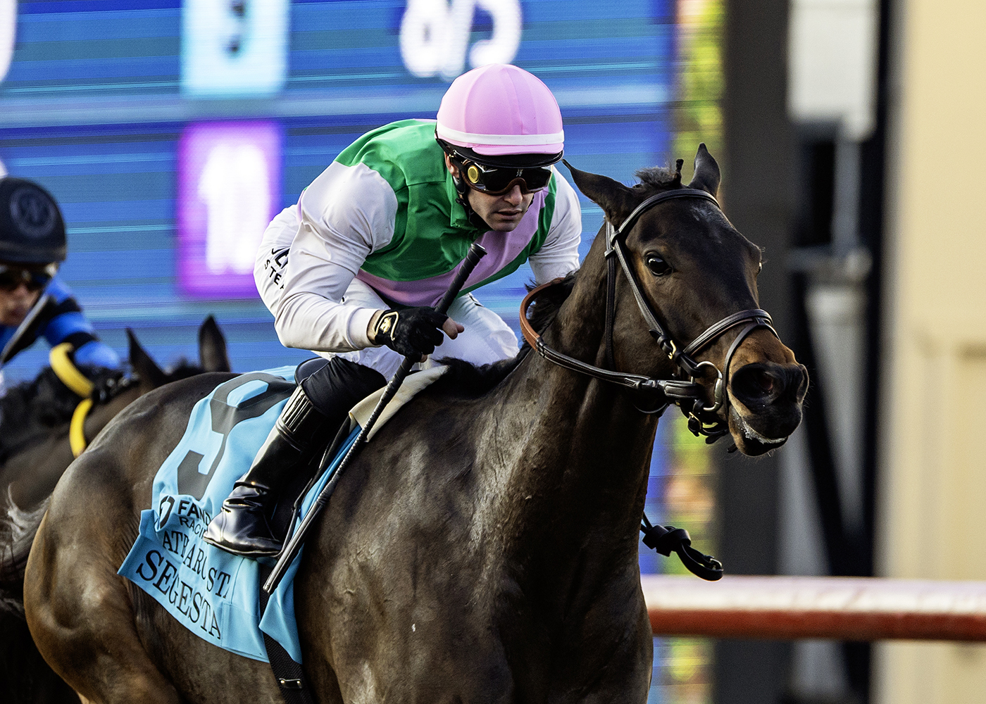 Segesta | Benoit Photo