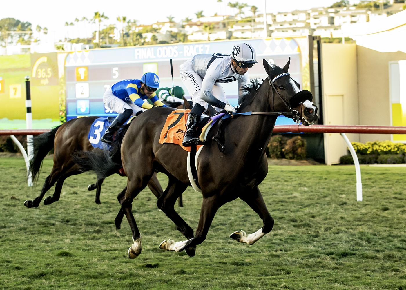 Thebestisyettobe | Benoit Photo