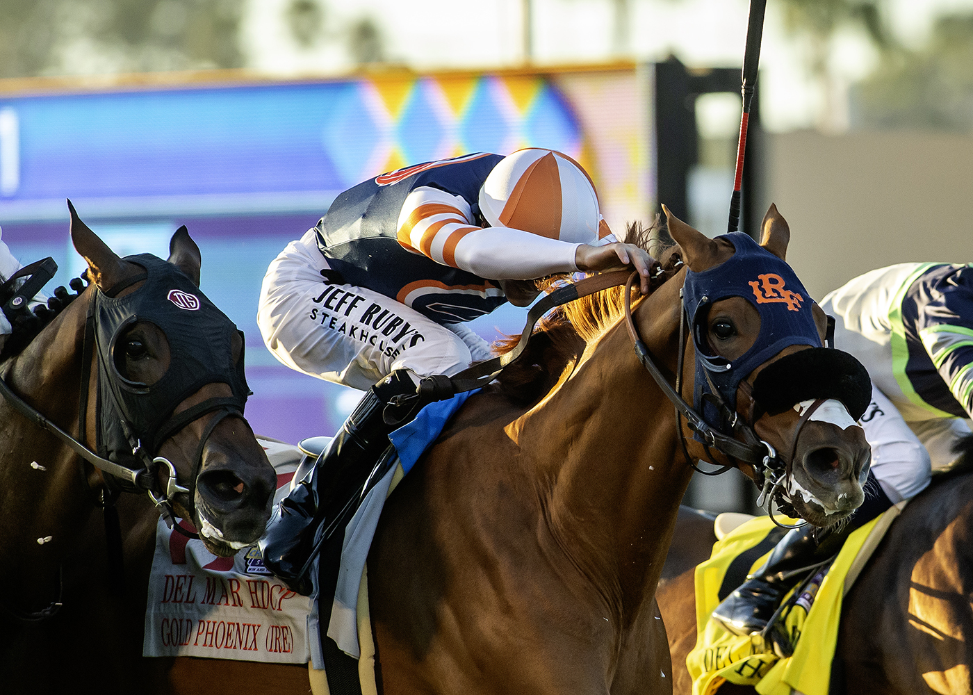 Gold Phoenix | Benoit Photo