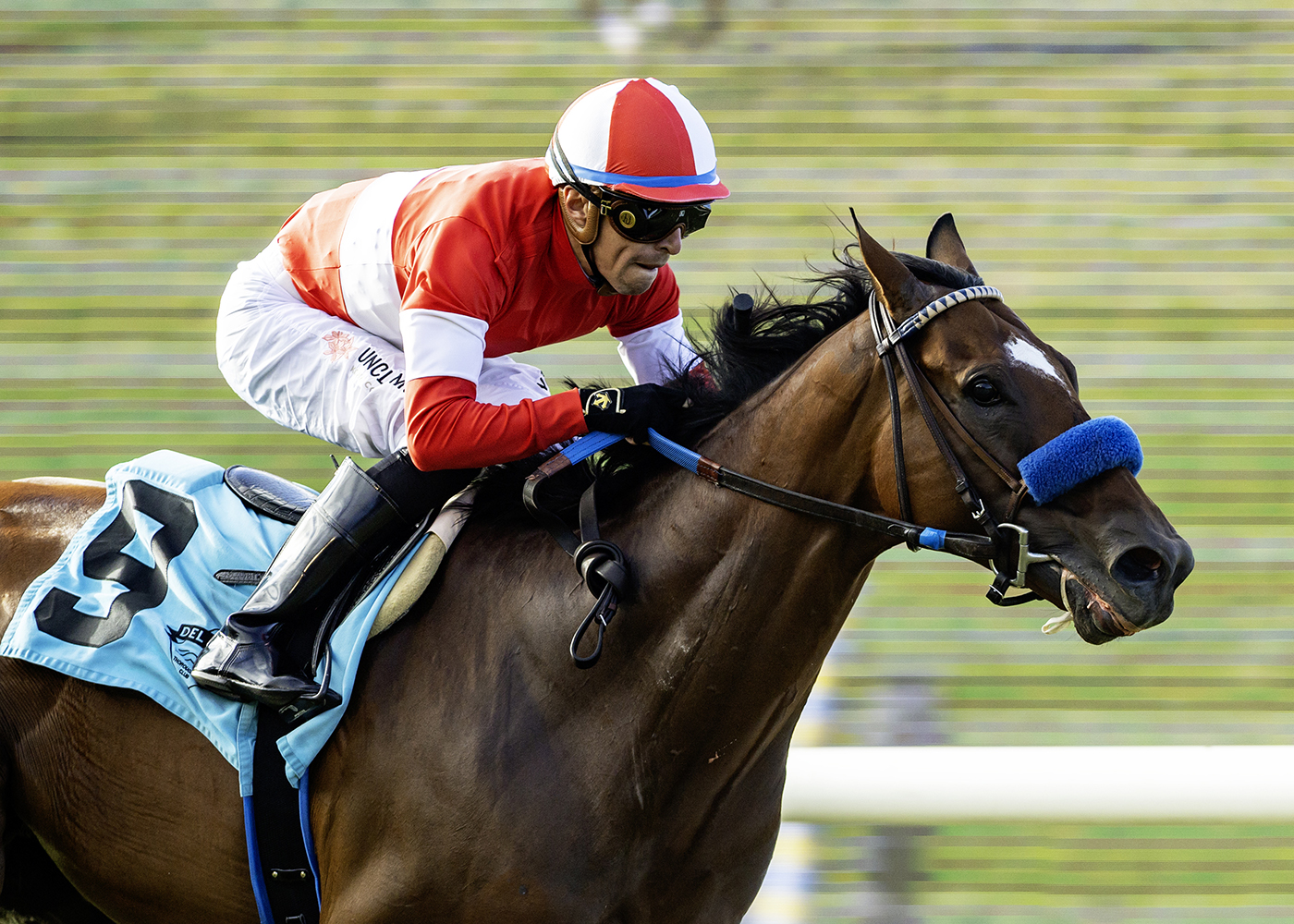 Kings River Knight | Benoit Photo