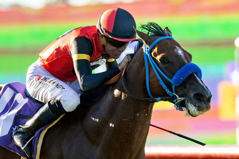 Nay V Belle | Benoit Photo