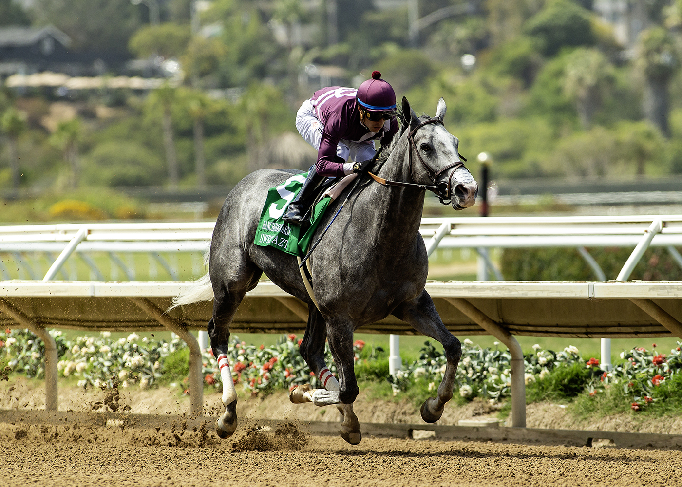 Sweet Azteca | Benoit Photo