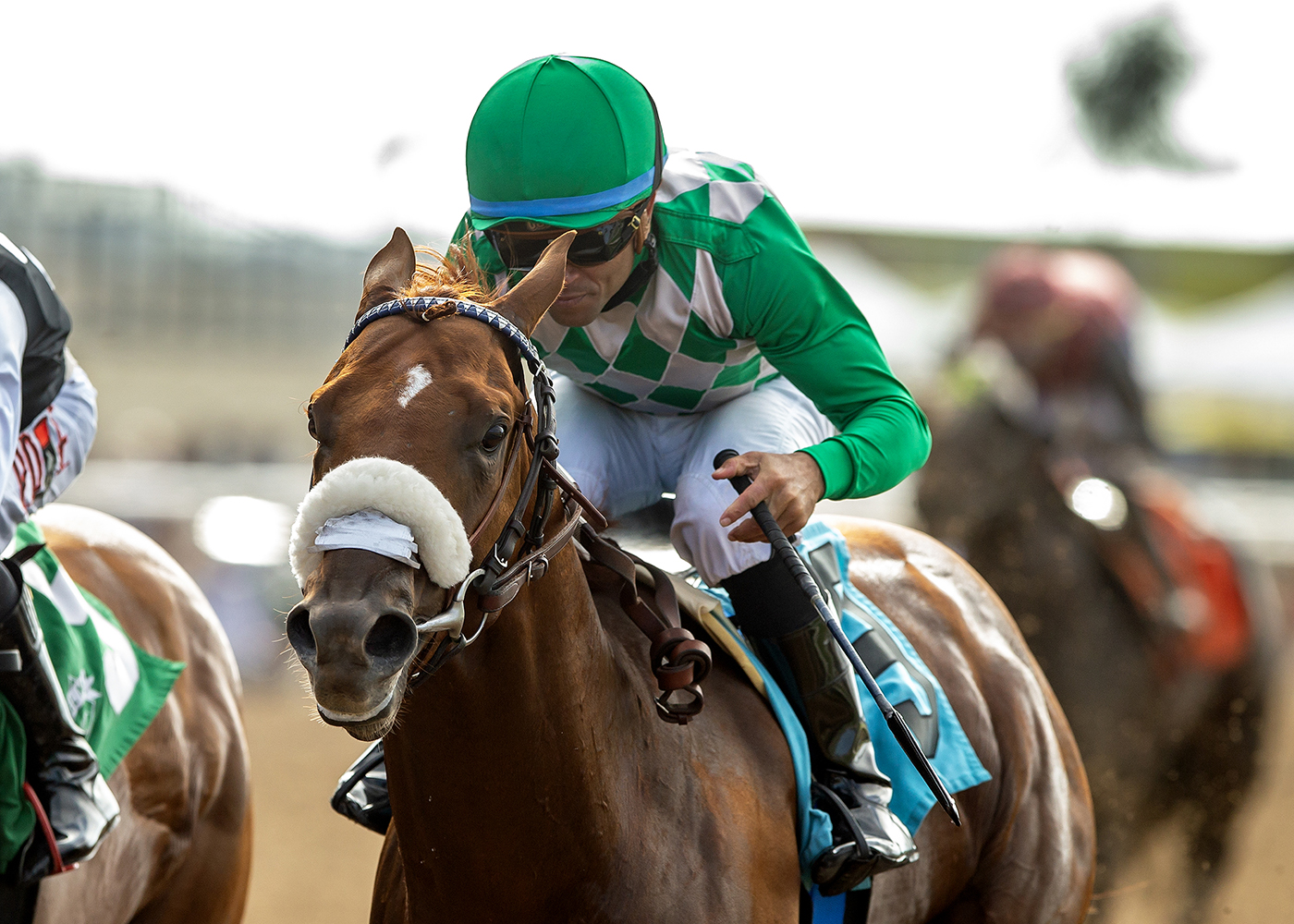 He's a Knockout | Benoit Photo
