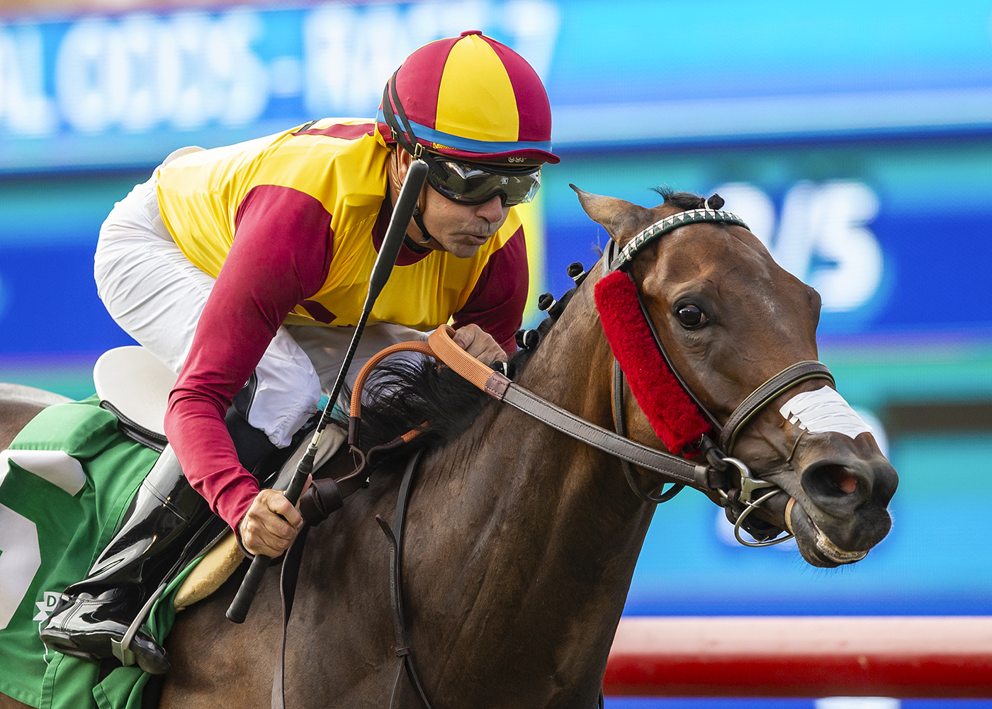 Pura Vida Princesa | Benoit Photo