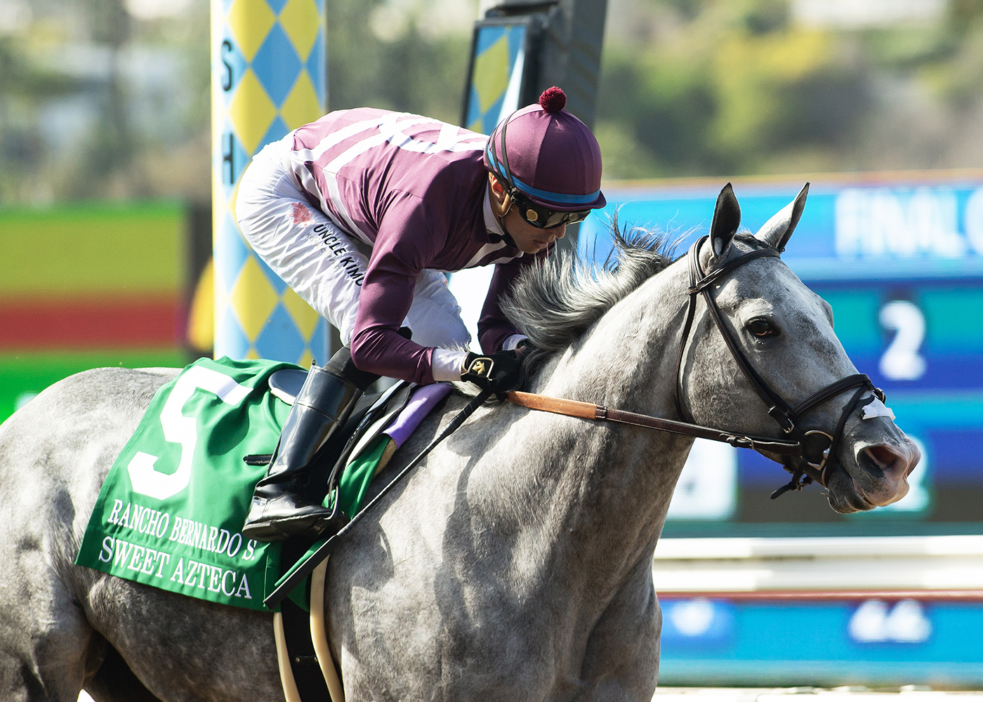 Sweet Azteca | Benoit Photo