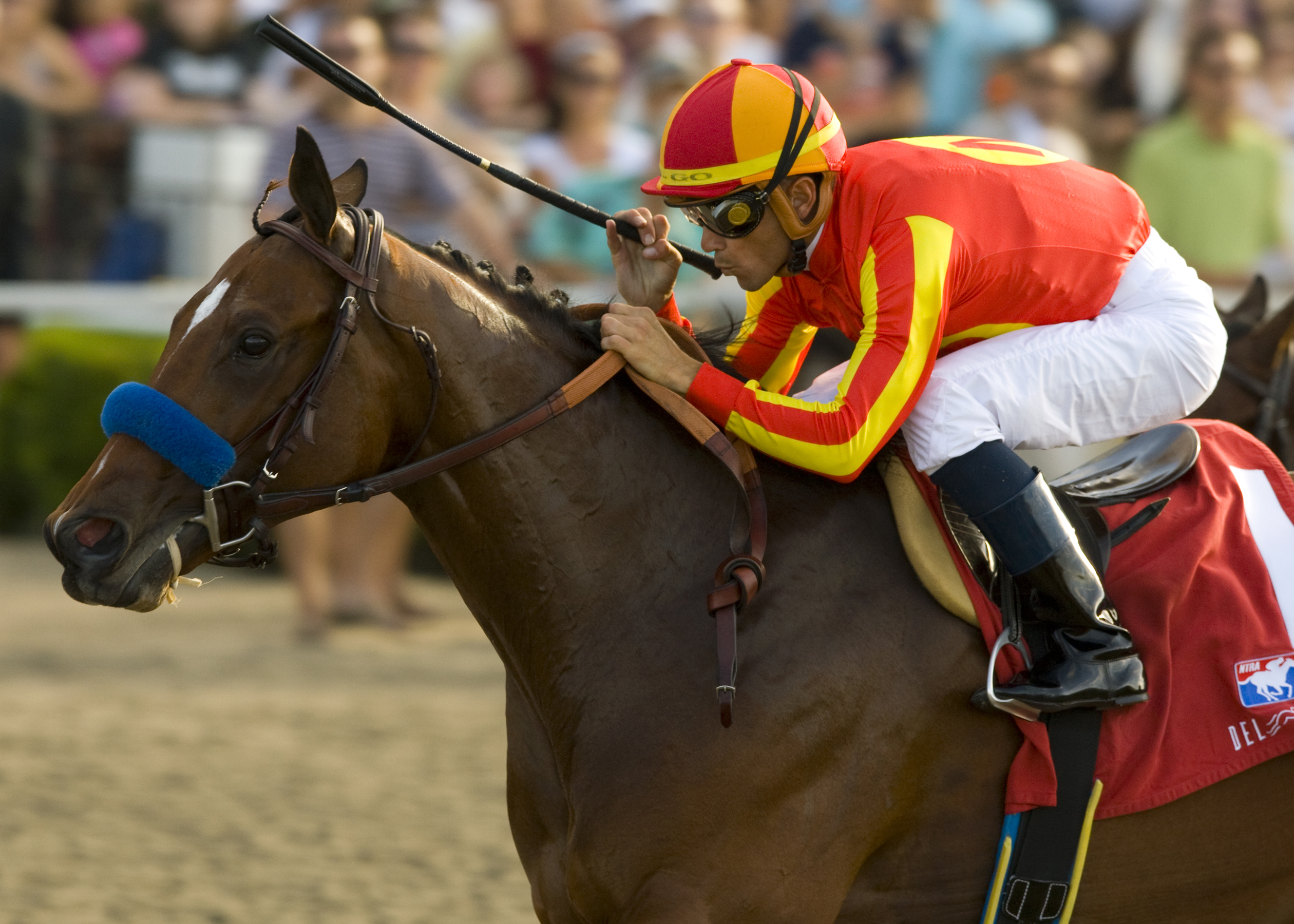 Lookin at Lucky | Del Mar Futurity | Benoit Photo