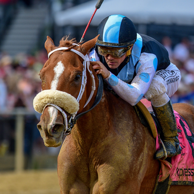 Eclipse Thoroughbreds