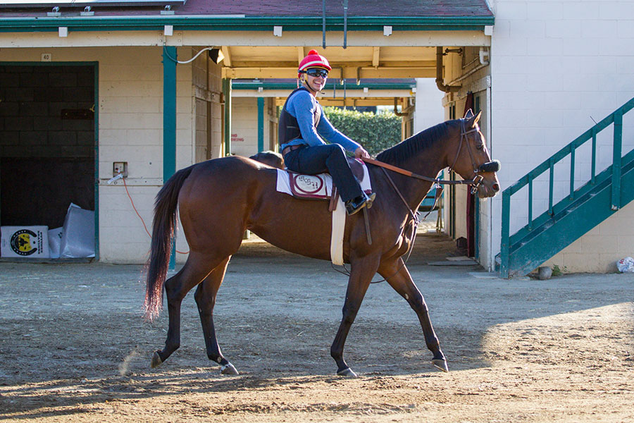 Jockey on a Horse