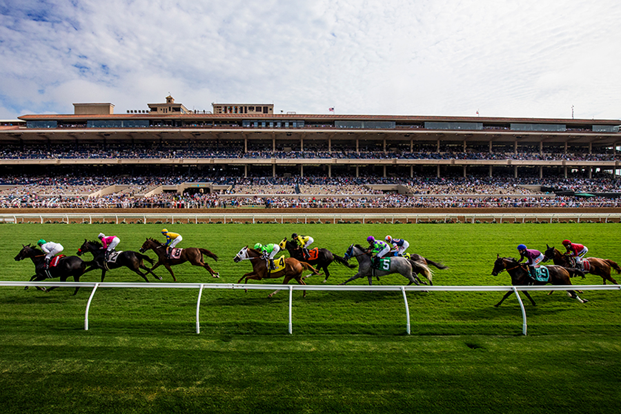 Turf Racing Action