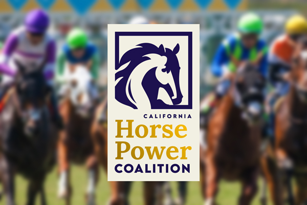 Equine Industry Leaders Launch California Horse Power Coalition