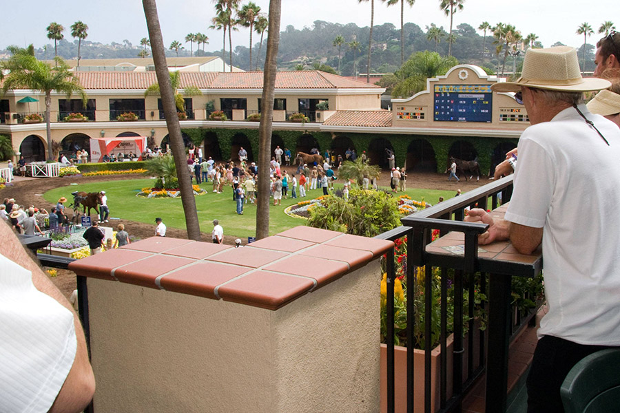 Paddock View Patio Seating