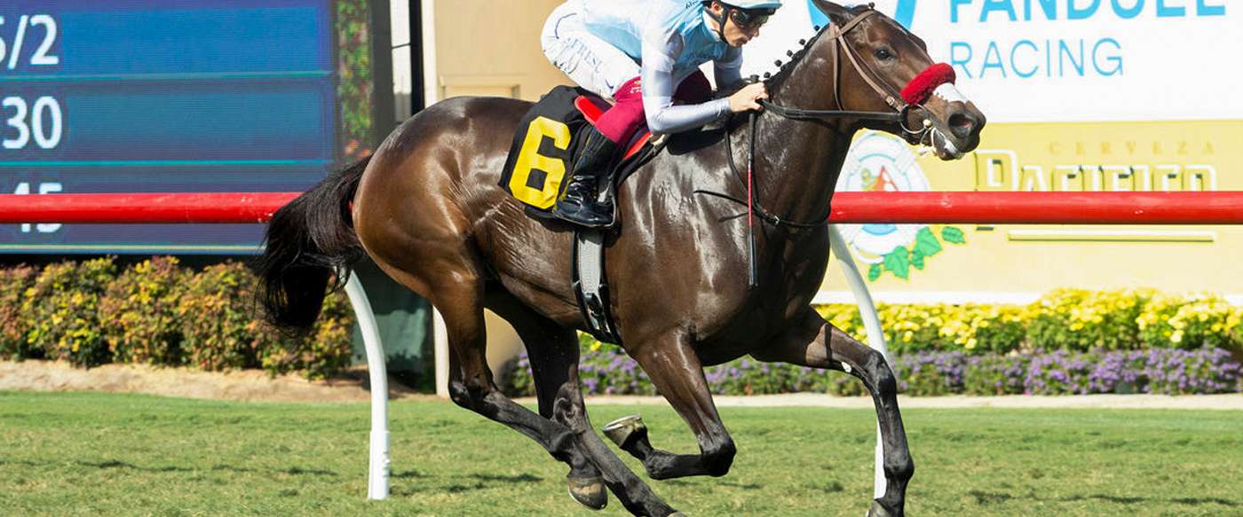 Article Photo Thumbnail