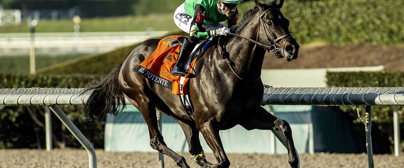 Article Photo Thumbnail