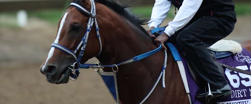 Article Photo Thumbnail