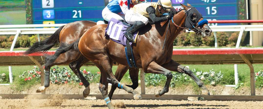 Article Photo Thumbnail