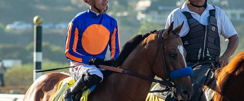 Article Photo Thumbnail