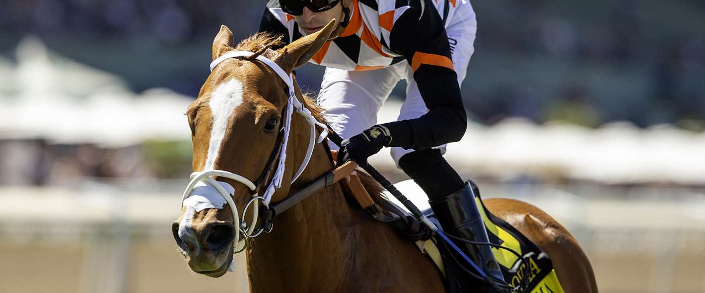 Article Photo Thumbnail