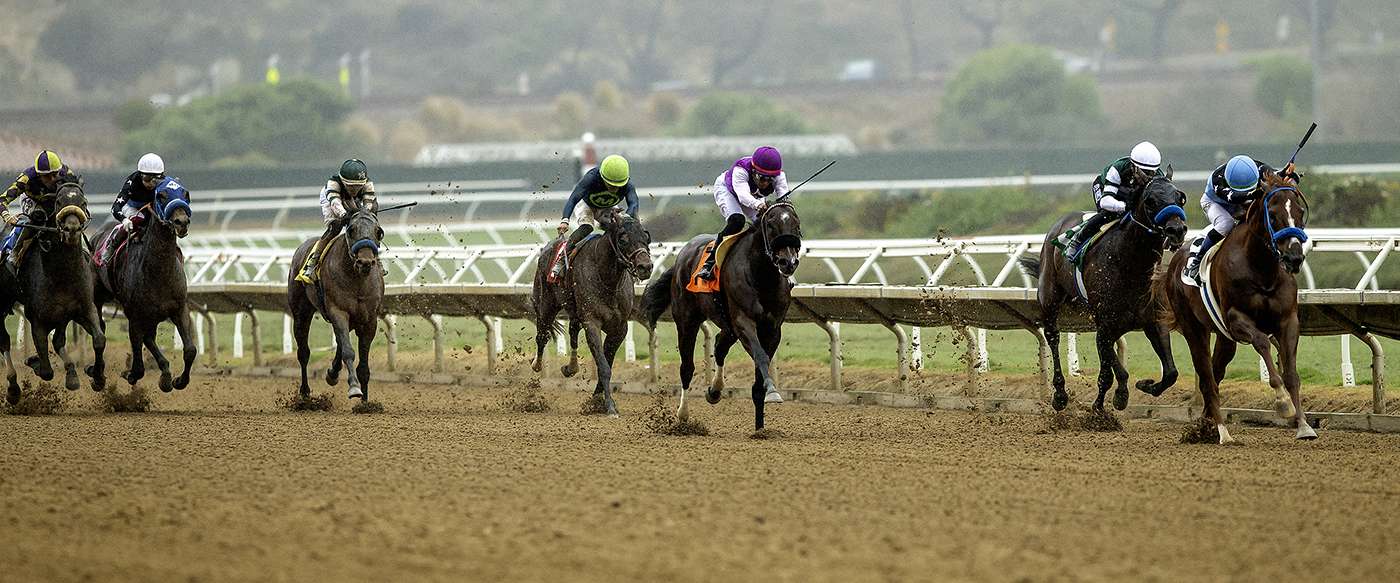 Article Photo Thumbnail