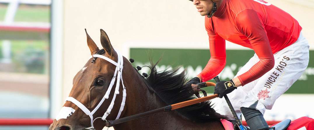 Article Photo Thumbnail