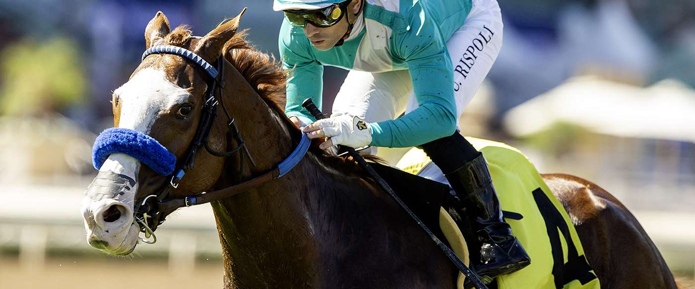 Article Photo Thumbnail