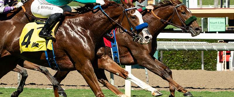 Article Photo Thumbnail