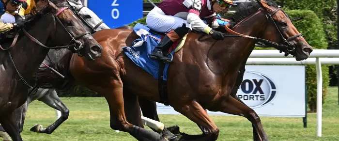 Article Photo Thumbnail