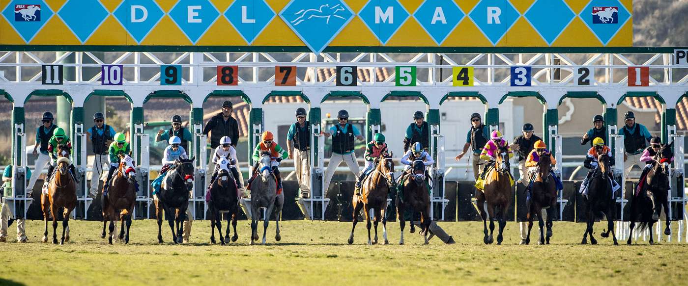 Article Photo Thumbnail