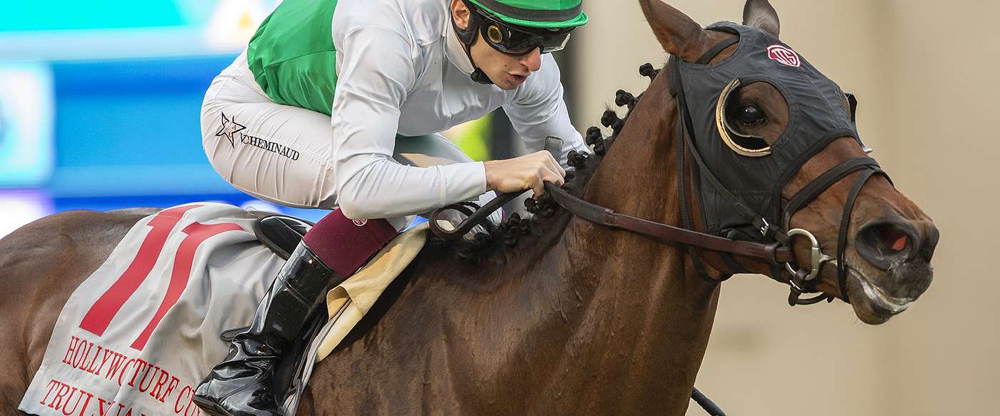 Article Photo Thumbnail