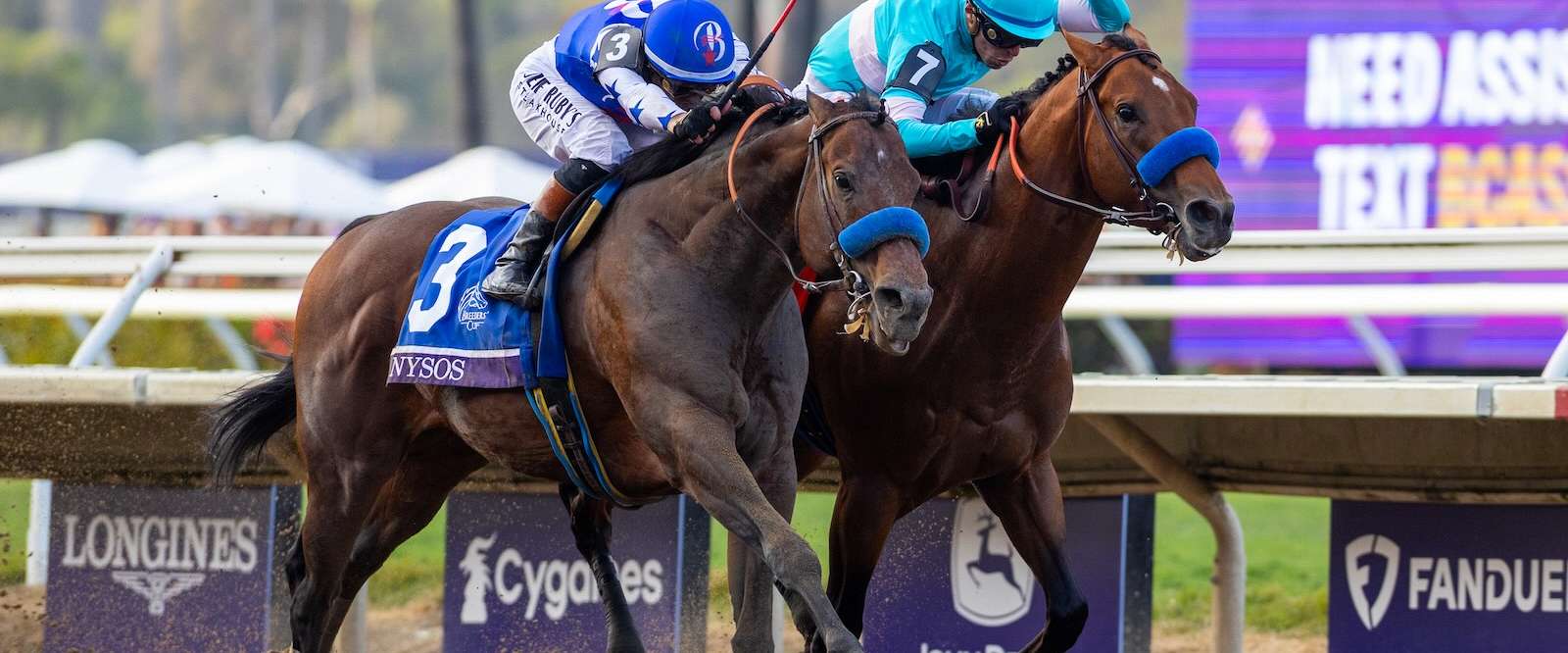 Article Photo Thumbnail