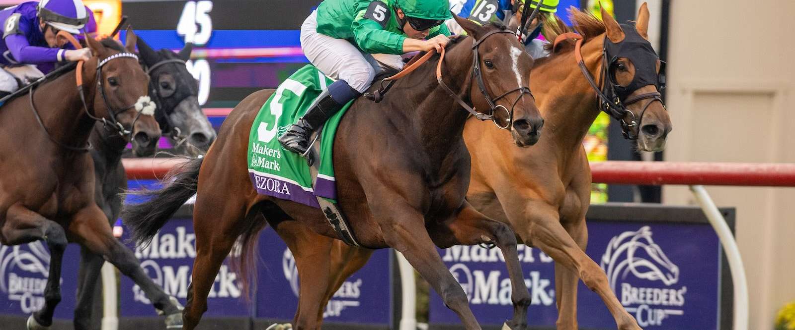 Article Photo Thumbnail