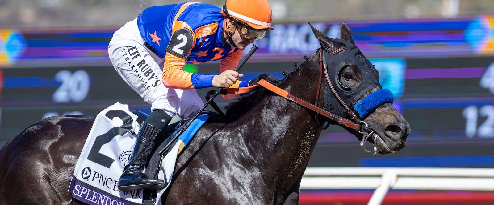 Article Photo Thumbnail