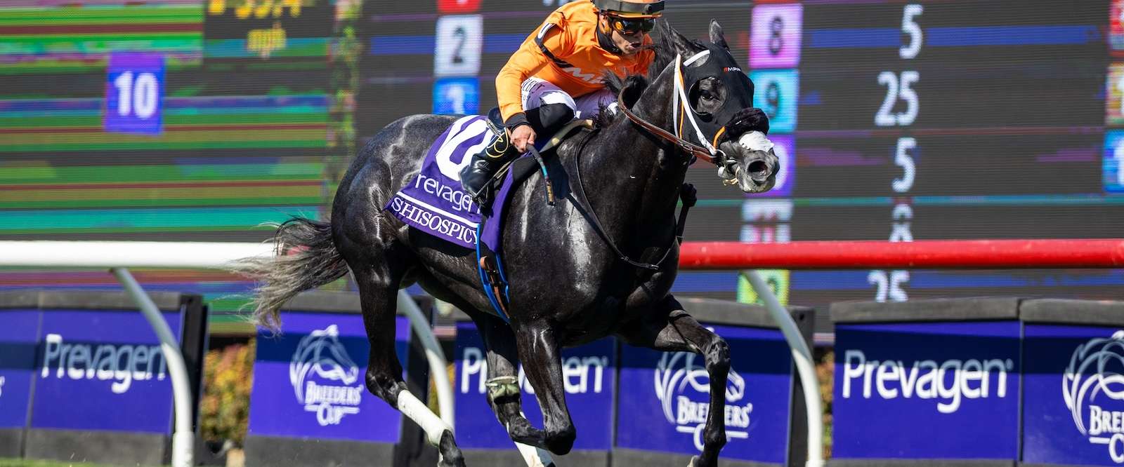 Article Photo Thumbnail