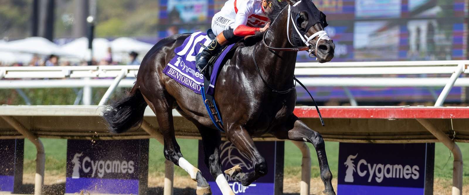 Article Photo Thumbnail