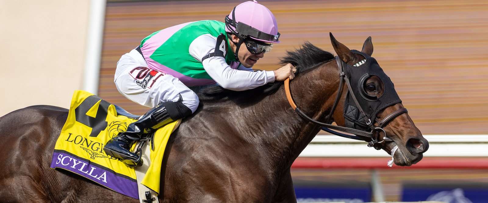 Article Photo Thumbnail