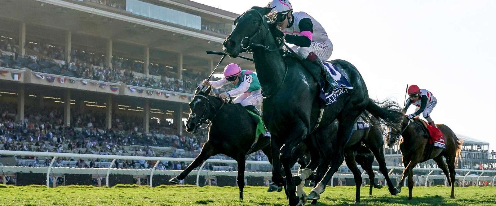 Article Photo Thumbnail