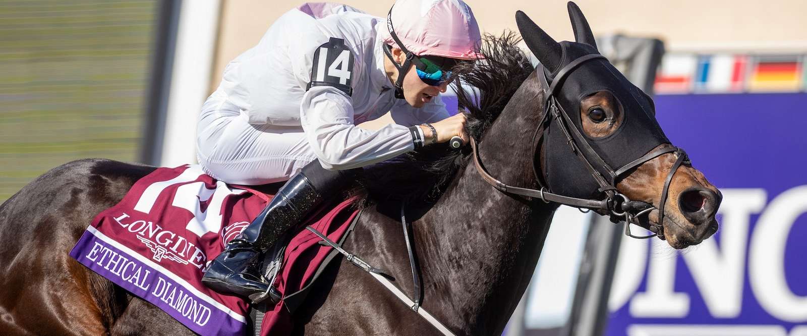 Article Photo Thumbnail