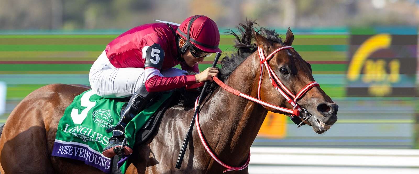 Article Photo Thumbnail