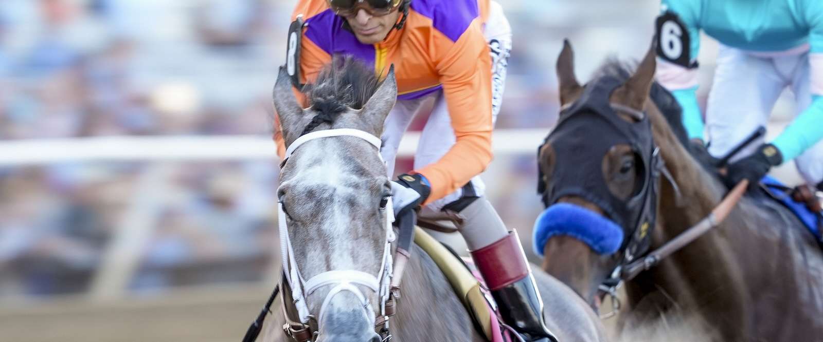 Article Photo Thumbnail