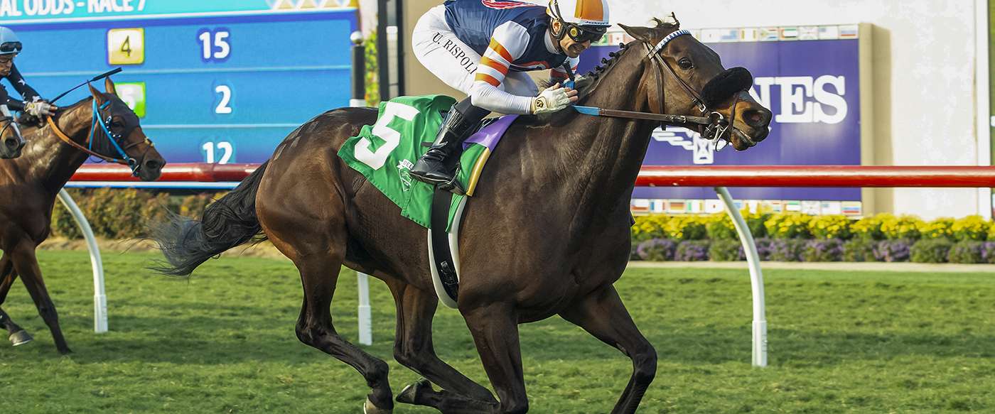 Article Photo Thumbnail