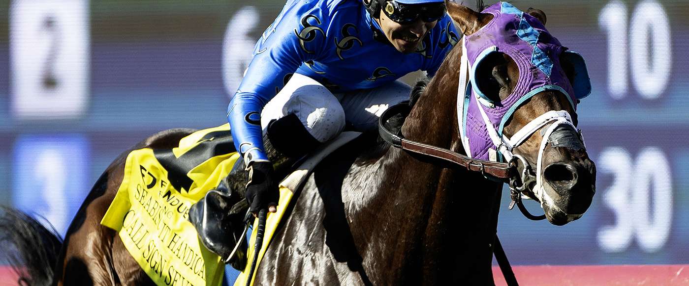 Article Photo Thumbnail